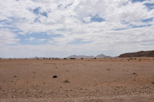 In der Namibwüste